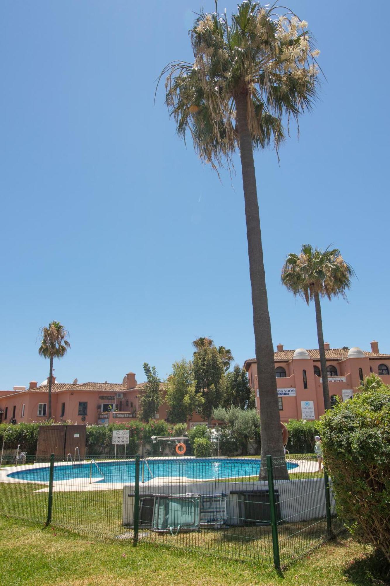 Studio In Calypso,Calahonda 200 Metres From The Beach Sitio de Calahonda Exterior foto